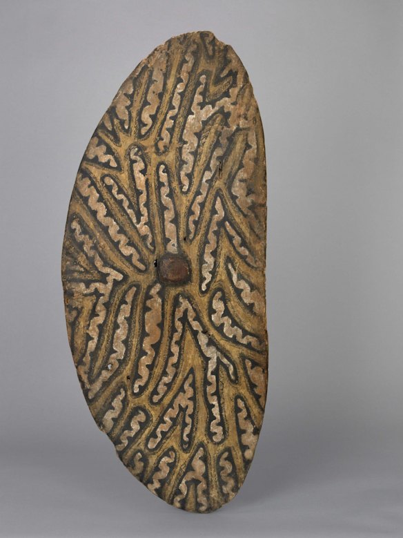 Shield, Rainforest peoples, collected from Rockingham Bay by John Ewen Davidson in 1866/68 



