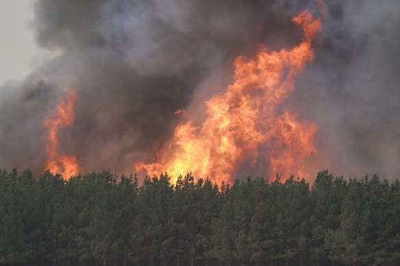 A forest fire in between Tooma and Tumbarumba, NSW.