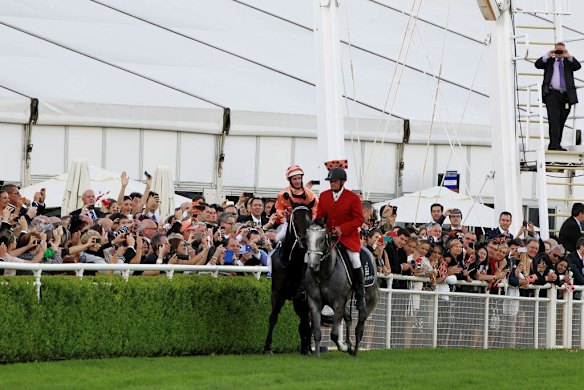 Black Caviar ridden by Luke Nolen after thier win.