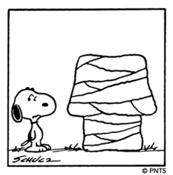 Peanuts creator Charles Schulz paid tribute to Bulgarian artist Christo’s work in a 1978 comic strip. 