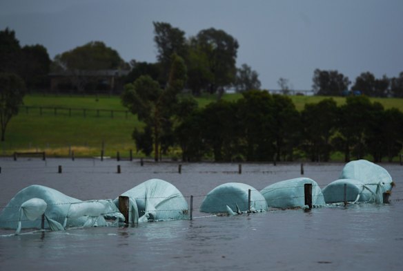 Hay bales are partially submerged in flood waters at Far Meadow in the Shoalhaven area, NSW. 