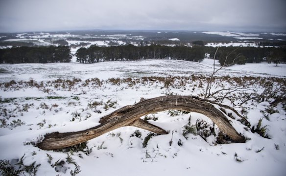 Snow blankets Shooters Hill in Oberon.