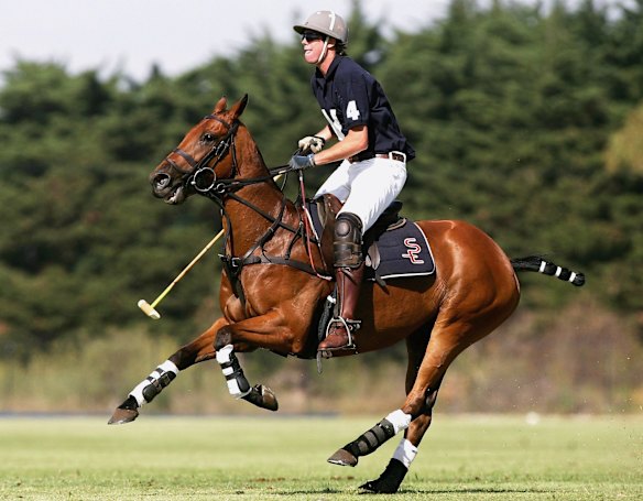 Gillon McLachlan of Victoria races for the ball in the Age February International match between Victoria and the Commonwealth during The Age Polo International at The Chirnside Ground, Werribee Park in 2007.