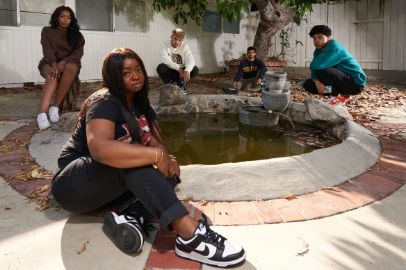 Young TikTok creators are struggling with the many challenges and responsibilities that come with building and monetising a following online.