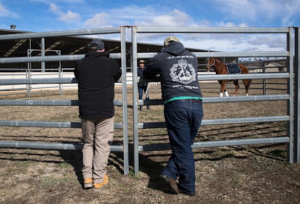 Retired servicemen Max Streeter and Clayton Hellyer, who suffer from PTSD, watch Vashka, a retired racing horse, as part of a equine therapy program run by Racing NSW in Capertee, NSW.