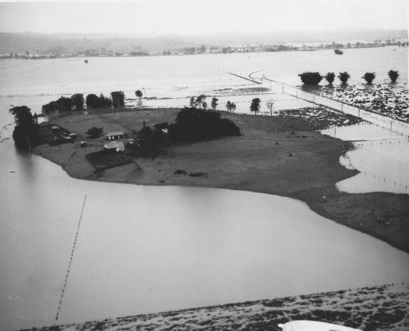 Farm surrounded by floodwaters, south-east of Lismore, June 28, 1950