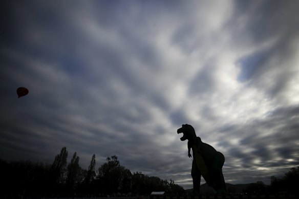 The t-rex dinosaur balloon inflating on the front lawn of Old Parliament House for the Canberra Balloon Spectacular festival.