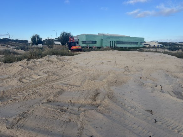 The original location of the spinifex had been significantly degraded by trampling as it was being used by surfers as an unofficial lookout.