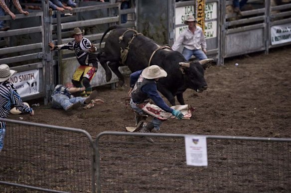 Moruya Rodeo