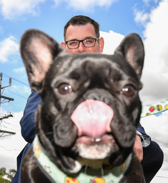 Every dog has his day: Premier Daniel Andrews announces more off-leash parks.