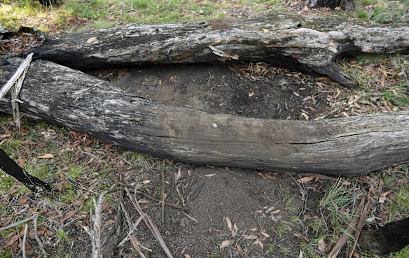  Site in Macedon Regional Park where decomposed remains of a woman were found yesterday.