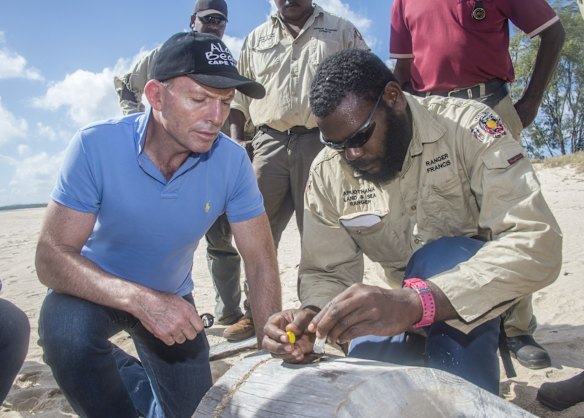 Prime Minister Tony Abbott is shown the insect life that may wash ashore in driftwood on the beach at the mouth of the Jardine River with indigenous Apudthama Land and Sea Rangers on Friday 28 August 2015.