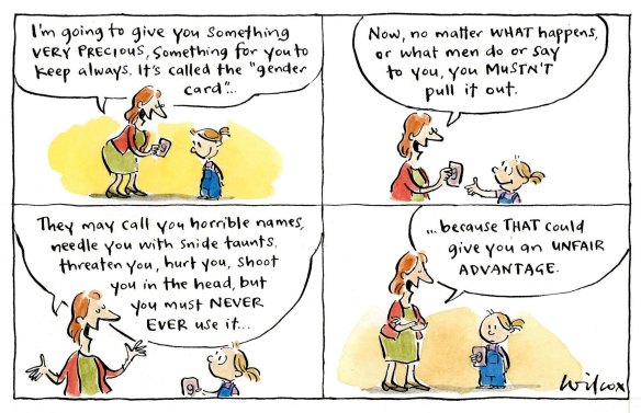 Illustration: Cathy Wilcox