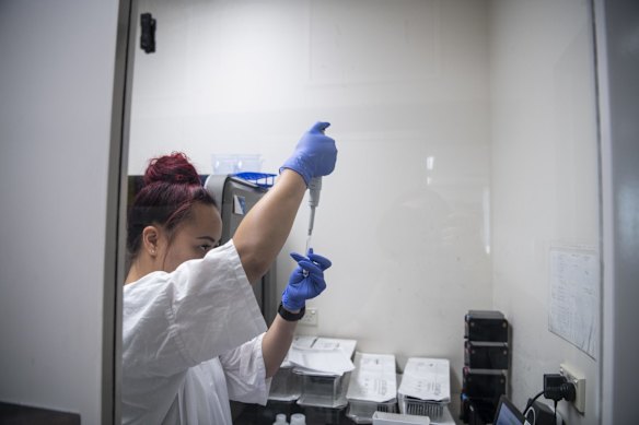 A sample being tested.