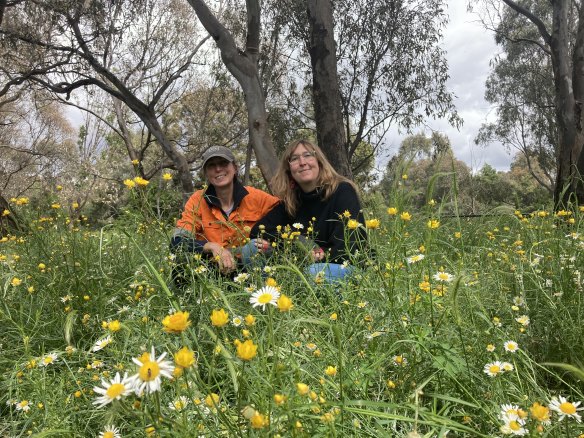 Sophia Blosfelds (left) and Katherine Horsfall amid their Parkville plantings