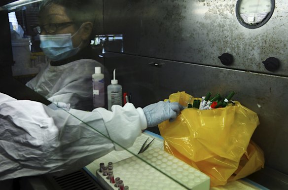 Technical assistant Ling Chick does sample preparation of coronavirus tests.