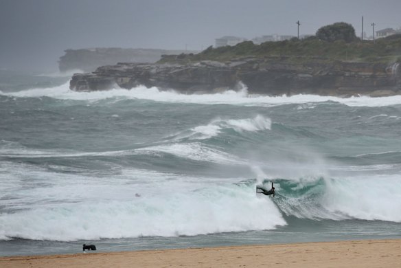 Despite the conditions, a few enthusiastic surfers take on the conditions at Coogee beach.