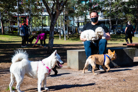 Mr Jewell said one of his dogs was injured after it was bowled over by a larger dog.