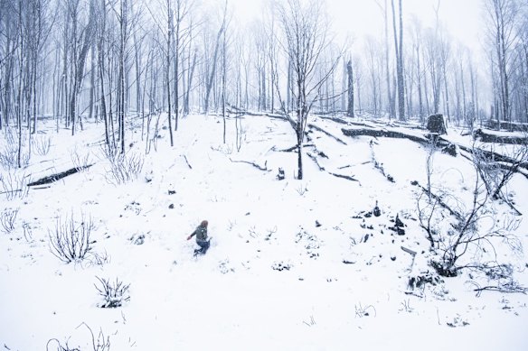 Nic's daughter Jemima sees snow for the first time at Alpine Hill near Providence Portral and Mount Selwyn.