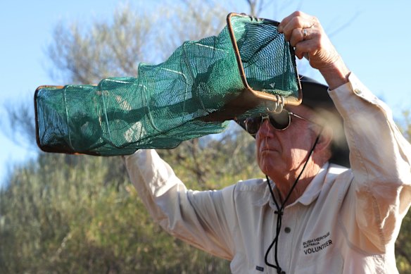 A volunteer checks for elusive skinks, who like to hide in the corners. 