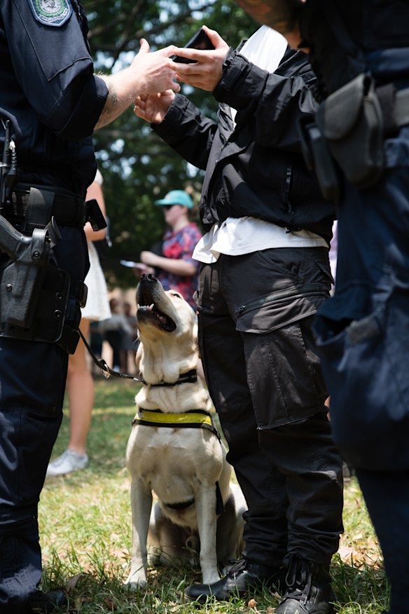 Police questioning a festivalgoer at Field Day in Sydney in January 2020.