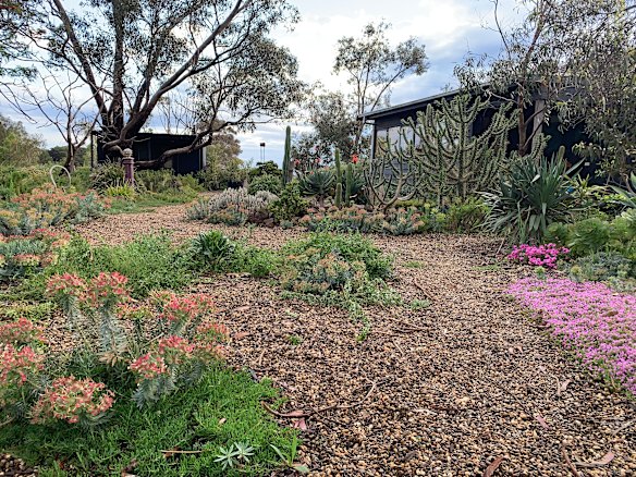 Stone pairs with all manner of plants.