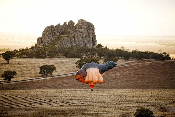 The Sky Whale Balloon for the Centenary OF Canberra Commission Commission. First flight of the Balloon.