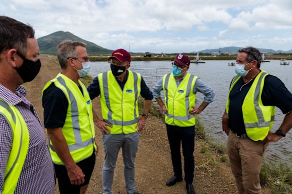Labor candidate for Dawson Shane Hamilton (left), Labor leader Anthony Albanese (centre) and Queensland senator Murray Watt (second from right) tour Tassal's Prawn farm in Proserpine.