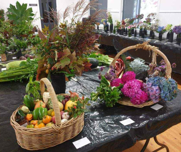 Seasonal leaves, flowers and fruits