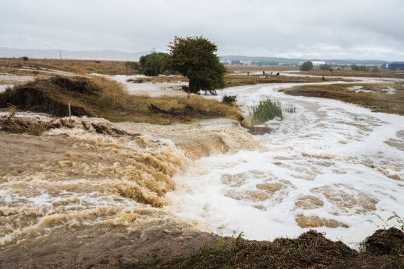 The Paddocks between Ikea and Majura Parkway flooded.