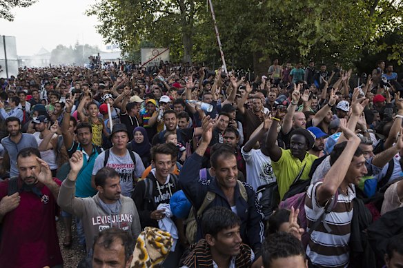 Protesting refugees celebrate after pushing past the border fence in Horgos, Serbia into Hungary. 