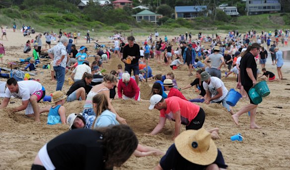 Sand modelling competition at Broulee Beach