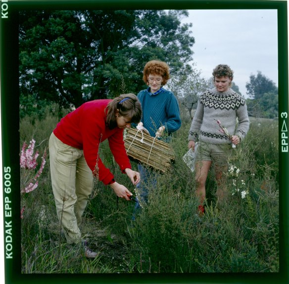 Two of the friends and a work experience student collecting specimens at Cranbourne in 1997
