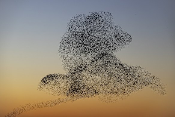 Black Sun #141, Rome.