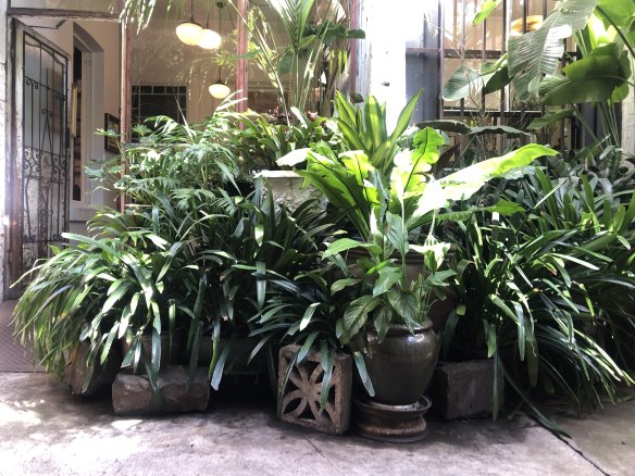 Plants are staggered at every level