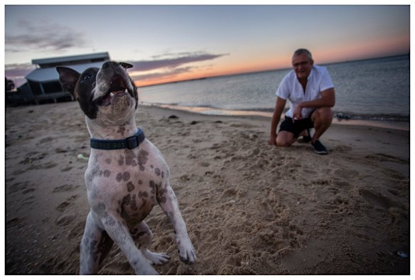 Miss Maudie enjoying a day at the beach with owner Neil McMahon.