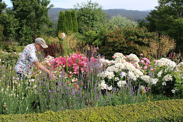 As Victoria reopens, these open gardens are a must-see