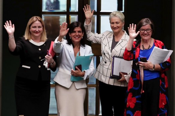 Crossbench MPs Rebekha Sharkie, Julia Banks, Kerryn Phelps and Cathy McGowan all voted for the bill. 