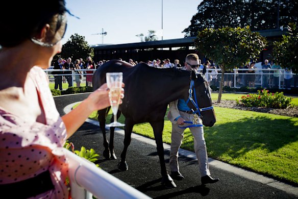People flock to get a glimpse of Black Caviar.