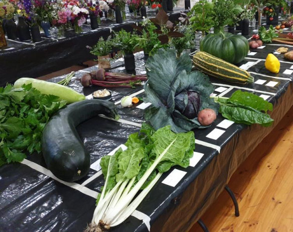 Giant vegetables have their own category