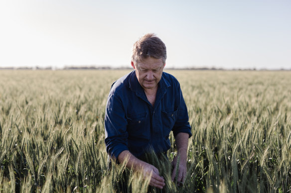 “The world is crying out for our grain at the moment,” says northern NSW farmer Matthew Madden.