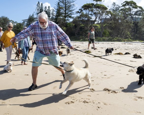 Narrawallee and Mollymook residents gather at Narrawallee beach to walk their dogs.