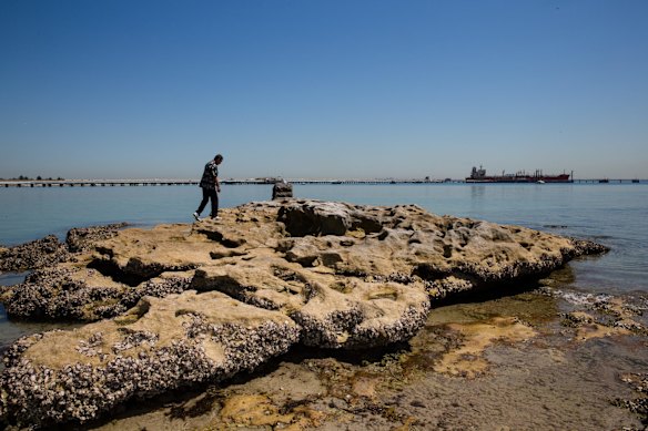 Dr Shayne T. Williams a local Aboriginal elder on the rock that Captain James Cook first stepped onto land.