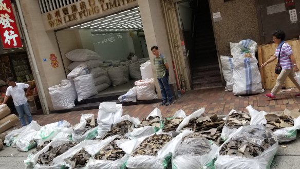 Sacks of shark fins found in Hong Kong.