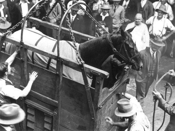 Champion racehorse Phar Lap on route to the United States from Australia, 1932.