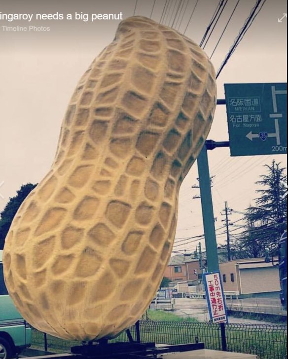 A big peanut near the Japanese city of Nagoya serves as inspiration on the group's Facebook site.