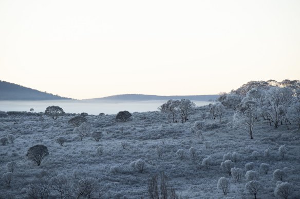 First light on Long Plain engulfed by deep frost. The area was not burnt out by bushfire and retains a robust Brumby population. 