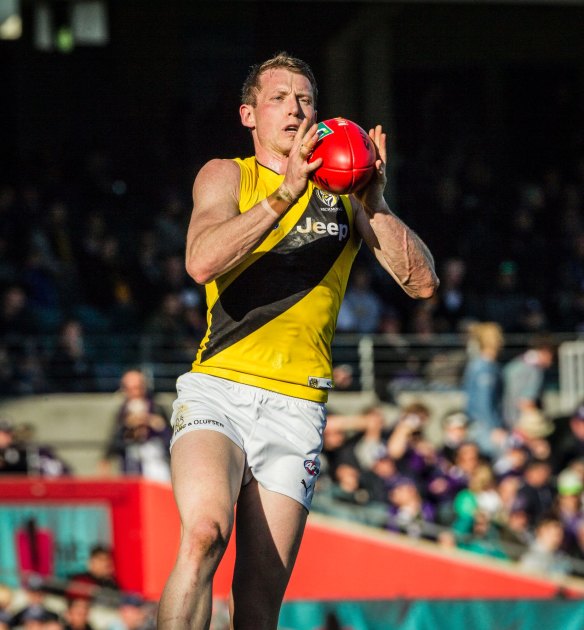 Earning their stripes: Dylan Grimes senses a difference at Tigerland.