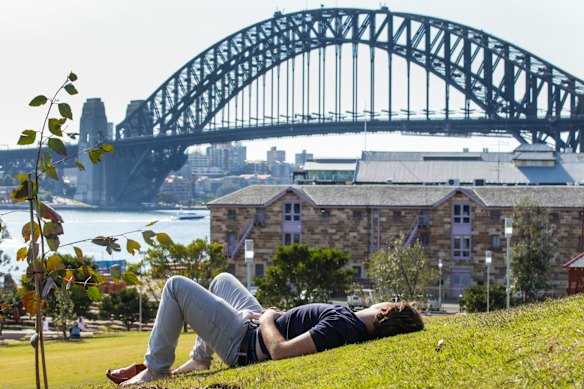 A man catches some sun at Barangaroo Reserve on its first day open to the public. 