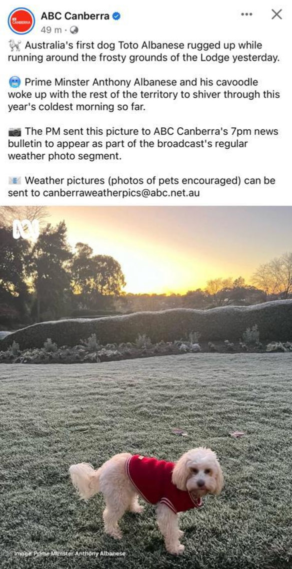 ABC Canberra was sent a weather photo on Wednesday featuring the Prime Minister’s dog Toto
